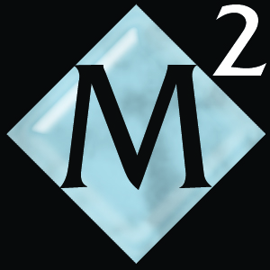 MS 2 ICON
